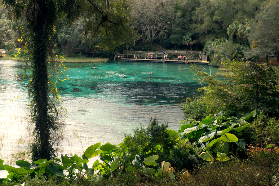 People swimming in the beautiful blue-green waters of Dunnellon's Rainbow Springs State Park. 