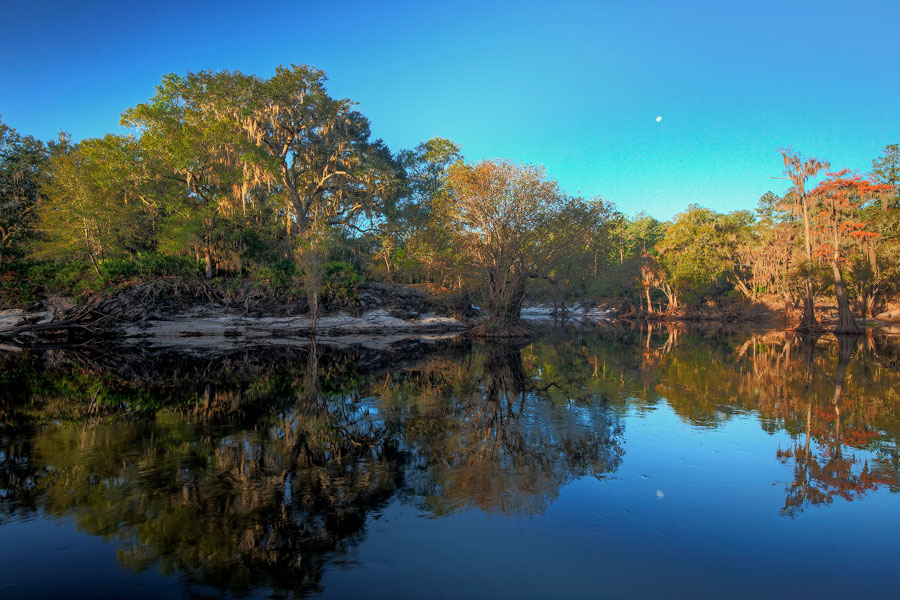 A moonset over the Suwannee River in north Florida's Fanning Springs. Photo credit ShutterStock.com, licensed.