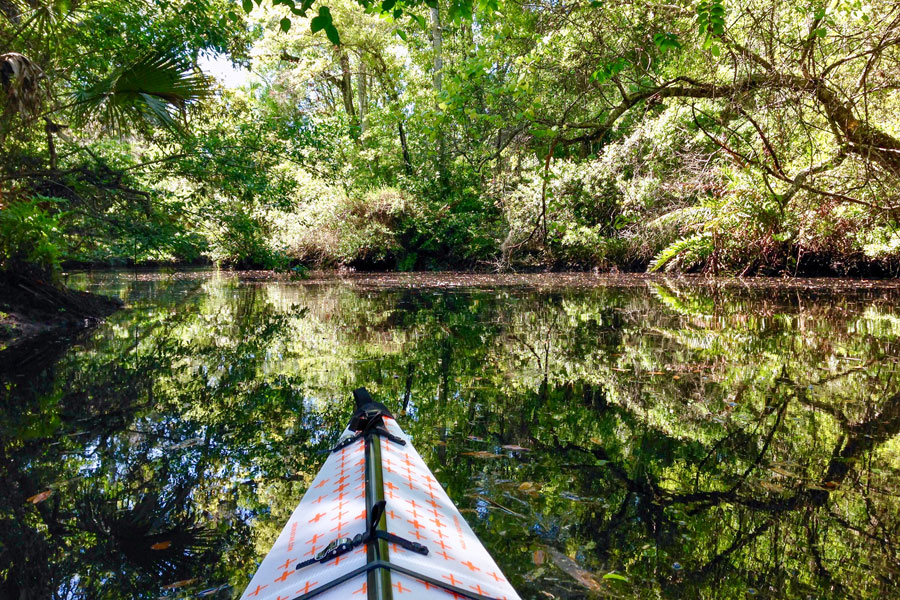 A kayaker enjoys the peace of the Pithlachascotee River at James E. Grey Preserve north of Tampa. Manatees and otters are common visitors to the park. 