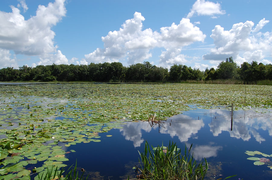 Red Bug Lake, part of Red Bug Lake Park which offers 60 acres of active and passive recreation. 